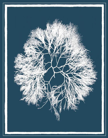 Indigo Seas IV White Modern Wood Framed Art Print with Double Matting by Lawrence, David