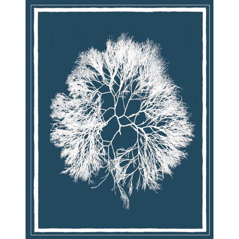 Indigo Seas IV Gold Ornate Wood Framed Art Print with Double Matting by Lawrence, David