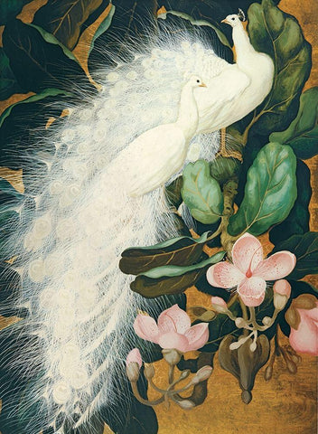 White Peacocks Black Ornate Wood Framed Art Print with Double Matting by Botke, Jessie
