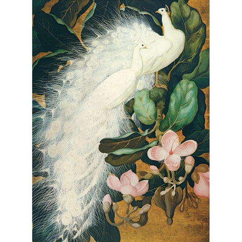 White Peacocks Black Modern Wood Framed Art Print with Double Matting by Botke, Jessie