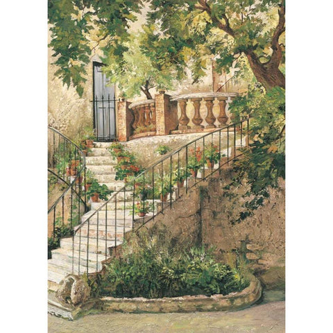 Courtyard in Provence Black Modern Wood Framed Art Print with Double Matting by Duvall, Roger