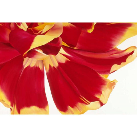 Floriade III White Modern Wood Framed Art Print by Poelstra-Holzhaus, Yvonne