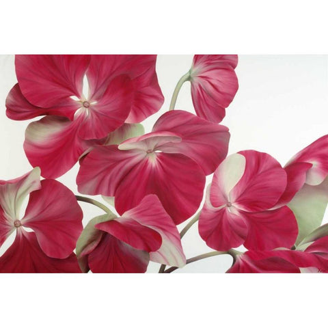 Floriade IV Black Modern Wood Framed Art Print by Poelstra-Holzhaus, Yvonne