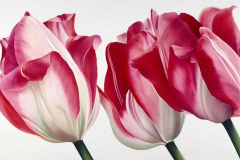 Floriade V Black Ornate Wood Framed Art Print with Double Matting by Poelstra-Holzhaus, Yvonne