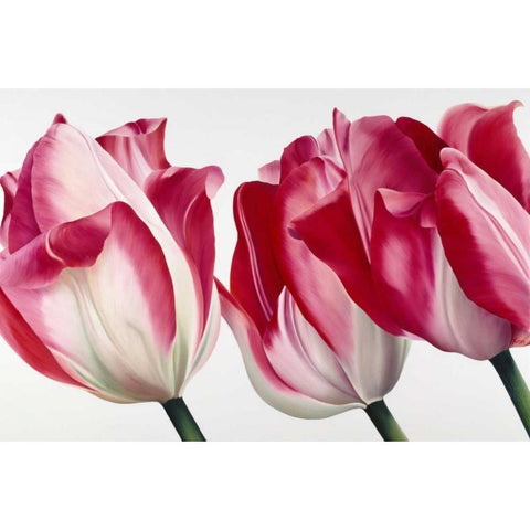 Floriade V Gold Ornate Wood Framed Art Print with Double Matting by Poelstra-Holzhaus, Yvonne