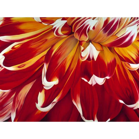 Redony Black Modern Wood Framed Art Print by Poelstra-Holzhaus, Yvonne