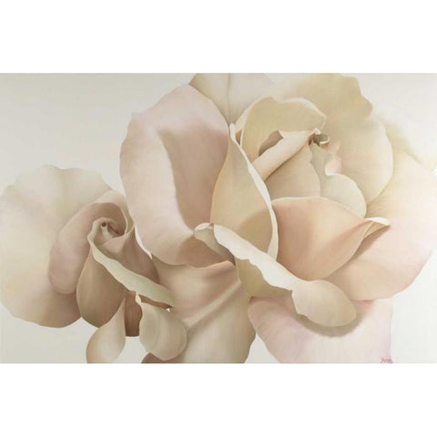 White Rose White Modern Wood Framed Art Print by Poelstra-Holzhaus, Yvonne