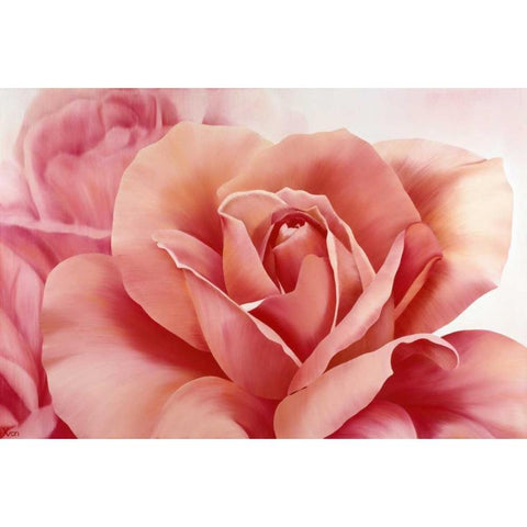 Pink Rose II Black Modern Wood Framed Art Print by Poelstra-Holzhaus, Yvonne