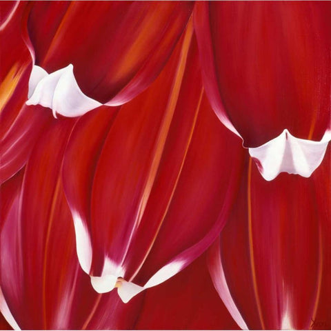 Most Beautiful Tulip II Black Modern Wood Framed Art Print with Double Matting by Poelstra-Holzhaus, Yvonne