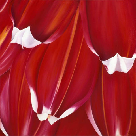 Most Beautiful Tulip II Black Ornate Wood Framed Art Print with Double Matting by Poelstra-Holzhaus, Yvonne