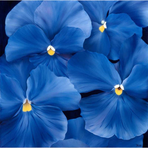 Colourful Floral III Black Modern Wood Framed Art Print by Poelstra-Holzhaus, Yvonne