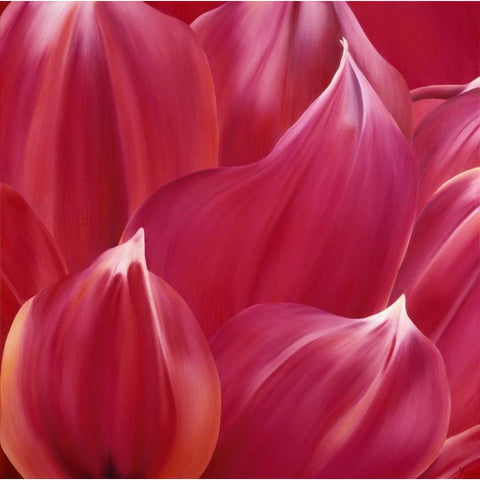 Close up  Black Modern Wood Framed Art Print by Poelstra-Holzhaus, Yvonne