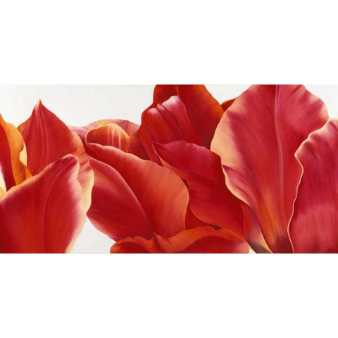 Fancy Flower I White Modern Wood Framed Art Print by Poelstra-Holzhaus, Yvonne