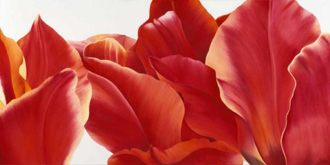 Fancy Flower I Black Ornate Wood Framed Art Print with Double Matting by Poelstra-Holzhaus, Yvonne