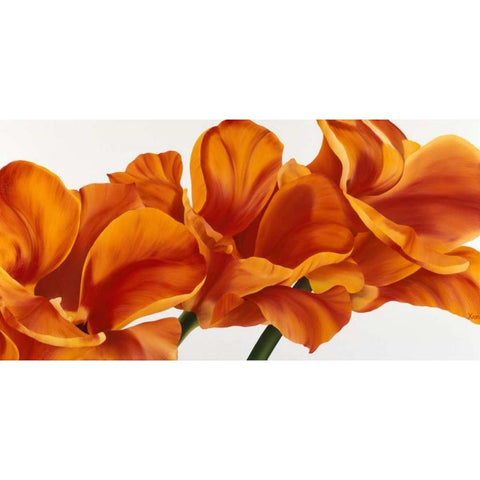 Fancy Flower II Black Modern Wood Framed Art Print by Poelstra-Holzhaus, Yvonne