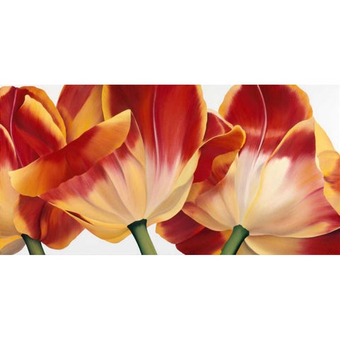 Fancy Flower III Black Modern Wood Framed Art Print with Double Matting by Poelstra-Holzhaus, Yvonne