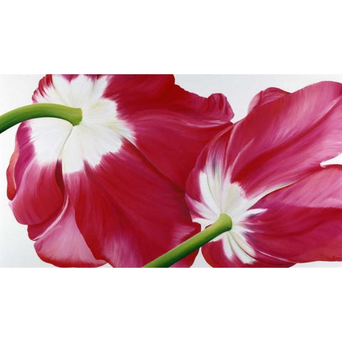 Tulipa Black Modern Wood Framed Art Print with Double Matting by Poelstra-Holzhaus, Yvonne