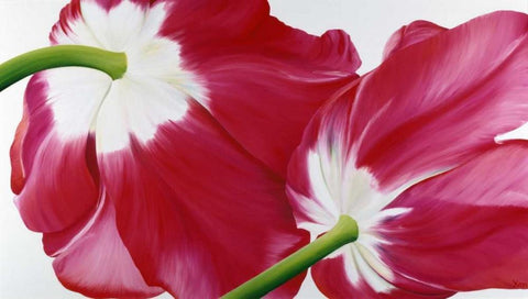 Tulipa White Modern Wood Framed Art Print with Double Matting by Poelstra-Holzhaus, Yvonne