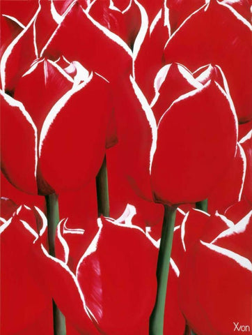 Red and White I Black Ornate Wood Framed Art Print with Double Matting by Poelstra-Holzhaus, Yvonne