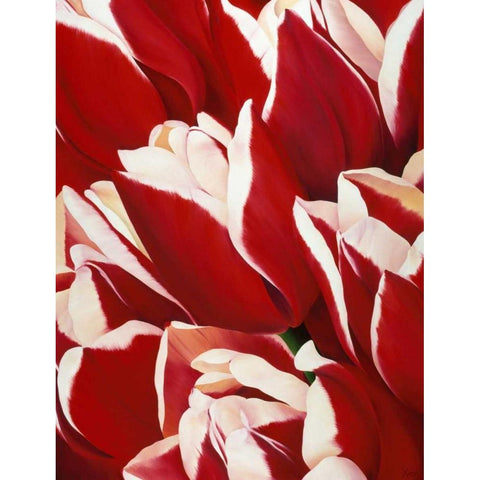 Red and White II White Modern Wood Framed Art Print by Poelstra-Holzhaus, Yvonne