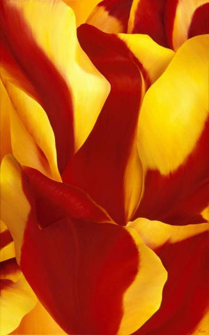 Magnificant Flower II Black Ornate Wood Framed Art Print with Double Matting by Poelstra-Holzhaus, Yvonne