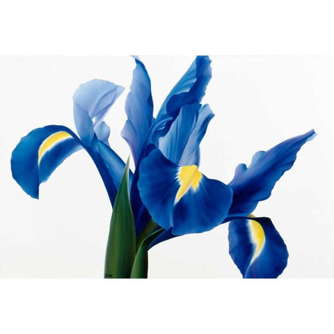 Purple floral II Black Modern Wood Framed Art Print with Double Matting by Poelstra-Holzhaus, Yvonne