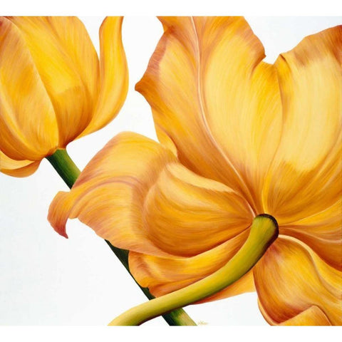 King yellow White Modern Wood Framed Art Print by Poelstra-Holzhaus, Yvonne