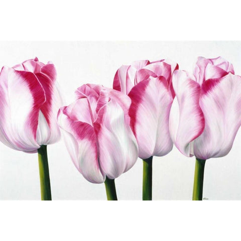 Dutch I Black Modern Wood Framed Art Print with Double Matting by Poelstra-Holzhaus, Yvonne