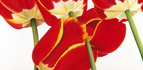 Dutch II White Modern Wood Framed Art Print with Double Matting by Poelstra-Holzhaus, Yvonne