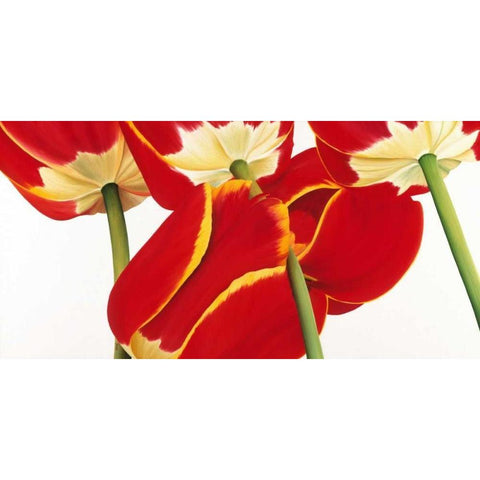 Dutch II Gold Ornate Wood Framed Art Print with Double Matting by Poelstra-Holzhaus, Yvonne