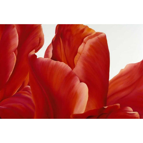 Party Tulip I Gold Ornate Wood Framed Art Print with Double Matting by Poelstra-Holzhaus, Yvonne