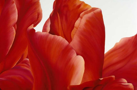 Party Tulip I Black Ornate Wood Framed Art Print with Double Matting by Poelstra-Holzhaus, Yvonne