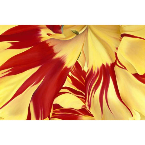 Alone Black Modern Wood Framed Art Print by Poelstra-Holzhaus, Yvonne