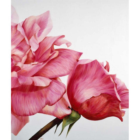 Pink Twin II White Modern Wood Framed Art Print by Poelstra-Holzhaus, Yvonne