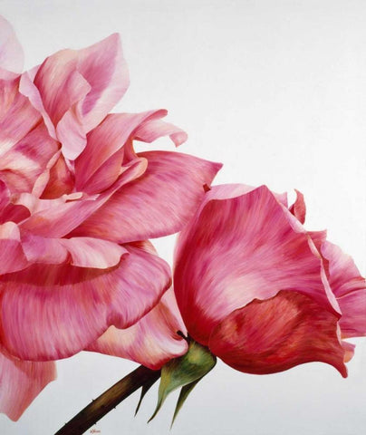 Pink Twin II Black Ornate Wood Framed Art Print with Double Matting by Poelstra-Holzhaus, Yvonne