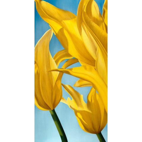 Dancing Yellow Black Modern Wood Framed Art Print with Double Matting by Poelstra-Holzhaus, Yvonne