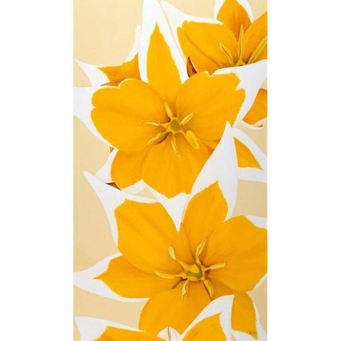 Yellow missy Black Modern Wood Framed Art Print with Double Matting by Poelstra-Holzhaus, Yvonne