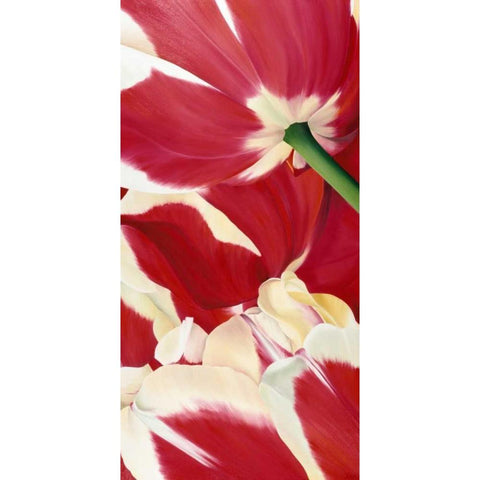 Flower dream Black Modern Wood Framed Art Print with Double Matting by Poelstra-Holzhaus, Yvonne