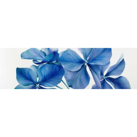 Shiny Bleu White Modern Wood Framed Art Print by Poelstra-Holzhaus, Yvonne