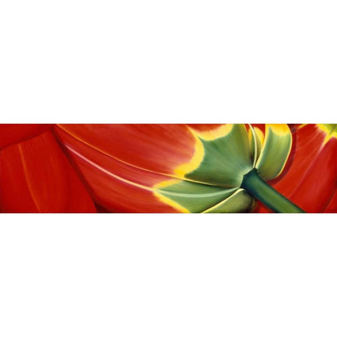 Sleeping well Black Modern Wood Framed Art Print by Poelstra-Holzhaus, Yvonne