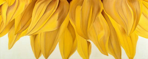 Sunny Yellow White Modern Wood Framed Art Print with Double Matting by Poelstra-Holzhaus, Yvonne