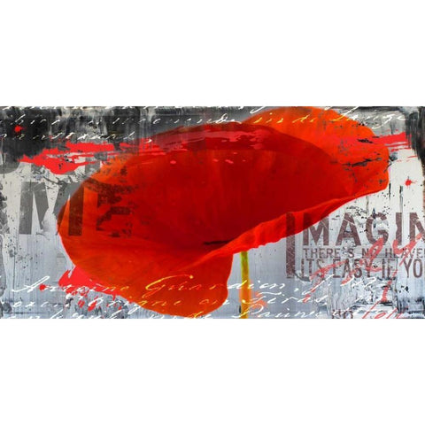 Poppy Story III Black Modern Wood Framed Art Print with Double Matting by Baker, Micha