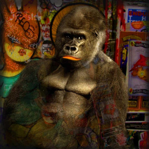 Mister Big Black Modern Wood Framed Art Print with Double Matting by de Haas, Mascha