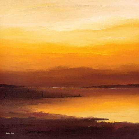 Evening sky I Gold Ornate Wood Framed Art Print with Double Matting by Paus, Hans