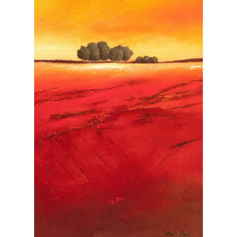 Tree Timberline I White Modern Wood Framed Art Print by Paus, Hans