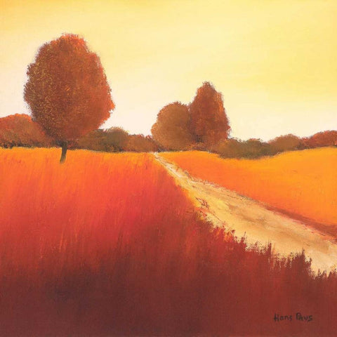 Scarlet Landscape I Black Modern Wood Framed Art Print by Paus, Hans