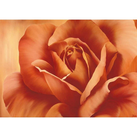 Full in bloom I Black Modern Wood Framed Art Print by Poelstra-Holzhaus, Yvonne