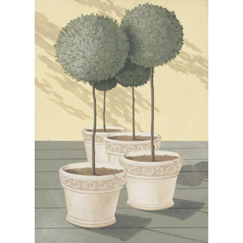 Buxus Black Modern Wood Framed Art Print by Heigl, Franz