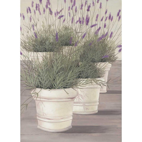 Lavender Black Modern Wood Framed Art Print by Paus, Hans