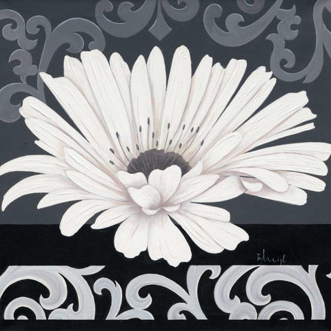 Decor II White Modern Wood Framed Art Print by Heigl, Franz